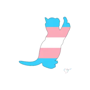 Transgender