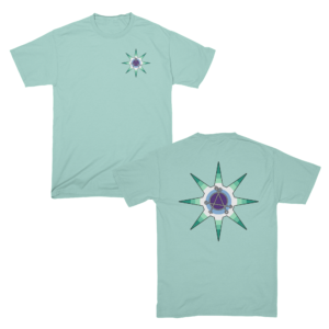 MLM Gay Pride Flag Star with Gender Anarchy Emblem